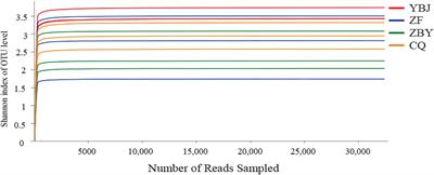 Fungal Diversity in the Soil of the Oxytropis glacialis Root System on the Qinghai-Tibet Plateau